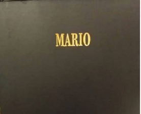 آلبوم کاغذ دیواری ماریو ، کاغذ دیواری MARIO